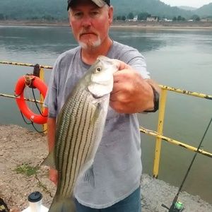 Meet your Posher, Rodney